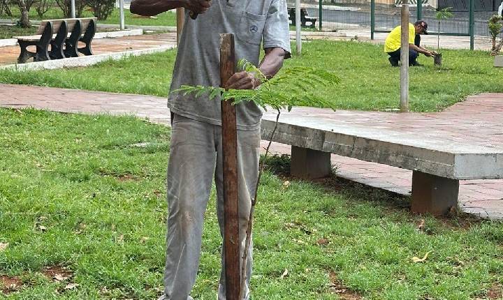 Praça Mangueira ganha novas árvores com a chegada do período chuvoso