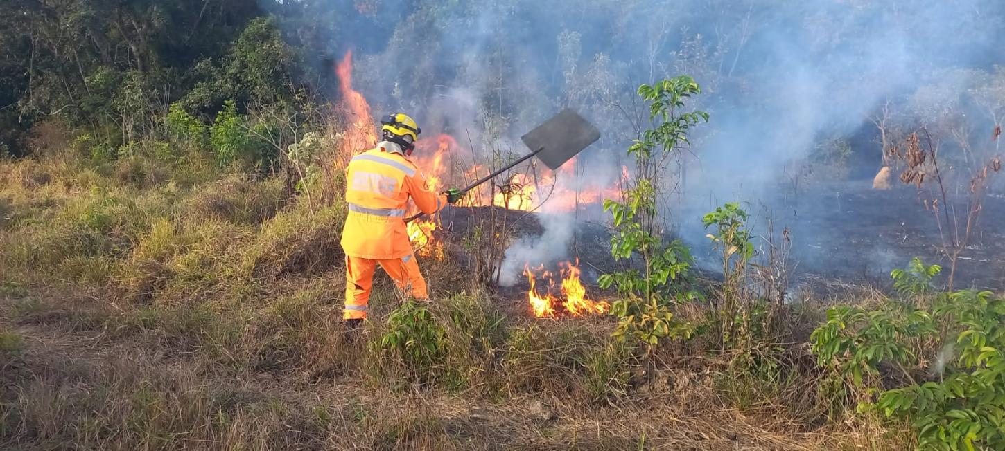 Bombeiros controlam incêndio em vegetação no bairro Max Newman, em Araxá
