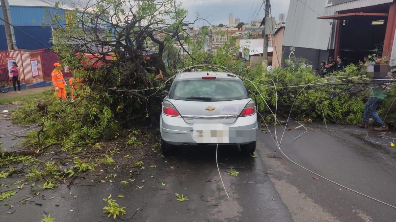 Árvore de 15 metros cai sobre carro em Araxá e deixa uma pessoa ferida