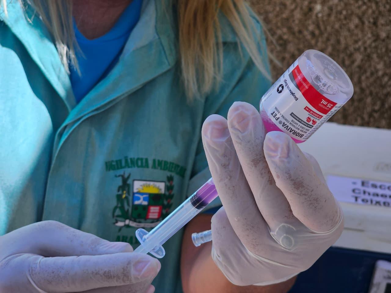 Campanha de vacinação antirrábica urbana é prorrogada em Araxá