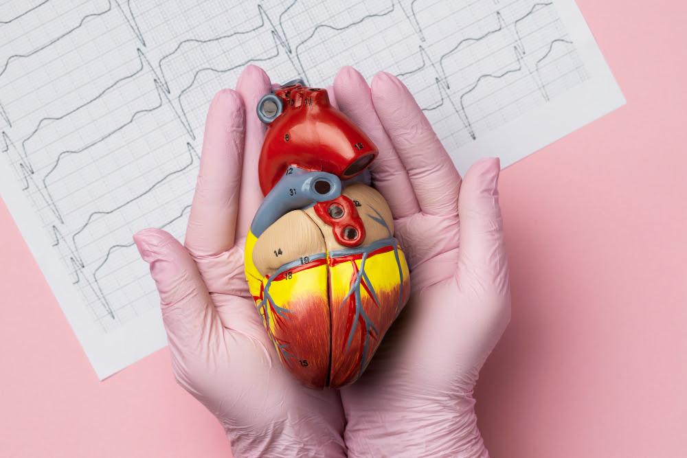 Setembro Vermelho alerta para prevenção de doenças cardiovasculares