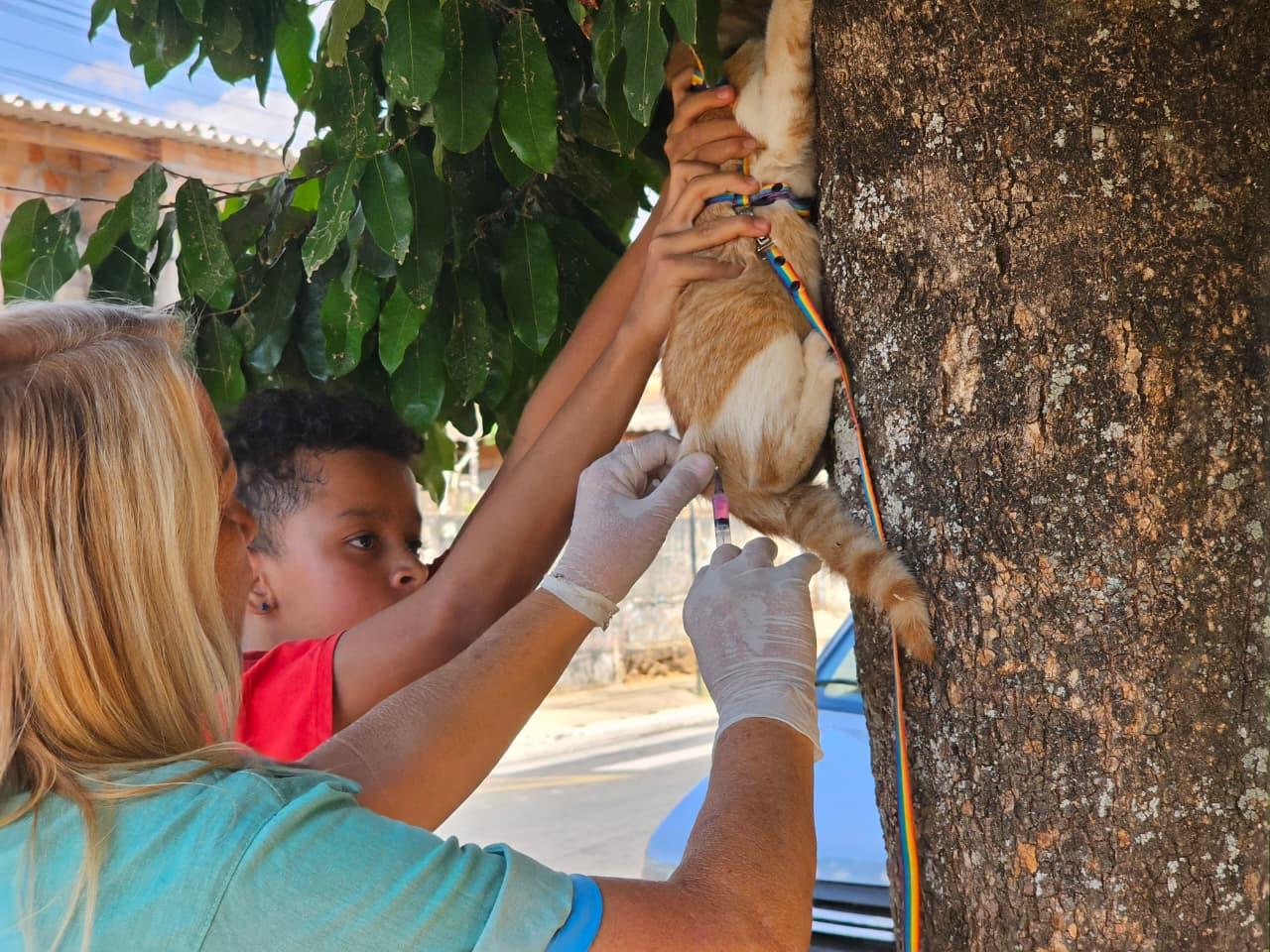Araxá realiza Dia D de Vacinação Antirrábica neste sábado (4)