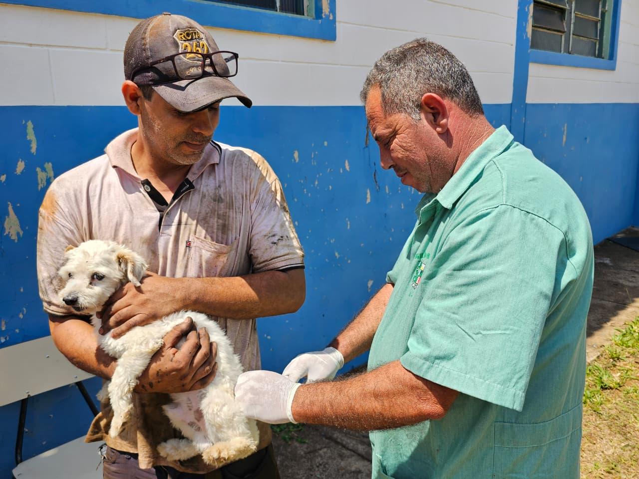 Araxá realiza reforço da vacina antirrábica para animais vacinados pela primeira vez