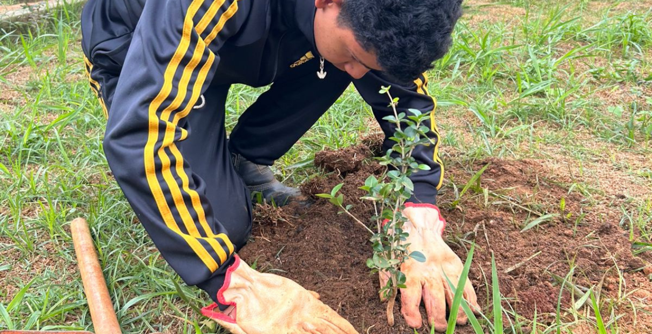 Projeto Florir deixa sua marca em espaços públicos e amplia protagonismo juvenil em Araxá