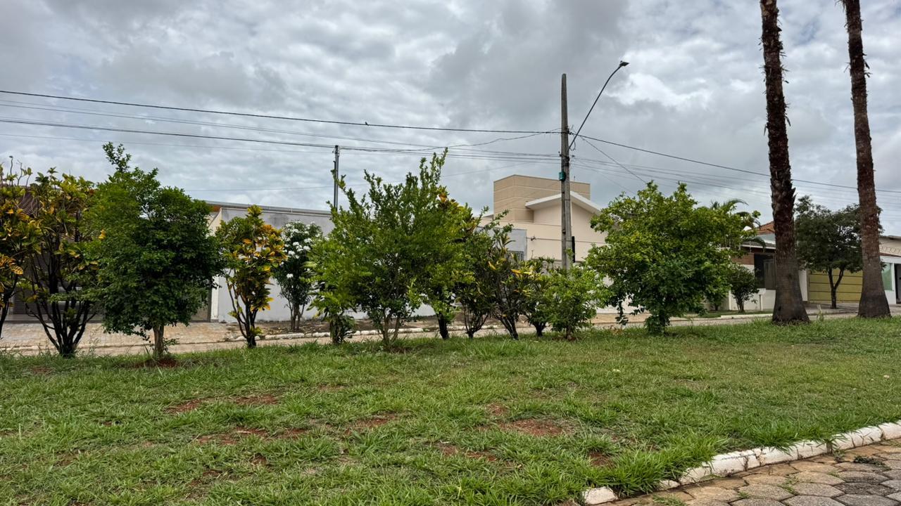 Prefeitura orienta moradores sobre plantio correto em áreas públicas de Araxá