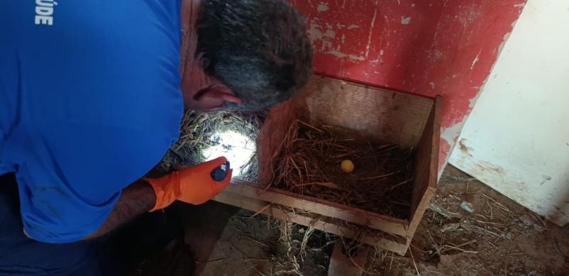 Levantamento anual monitora presença do barbeiro transmissor da doença de Chagas na zona rural de Araxá