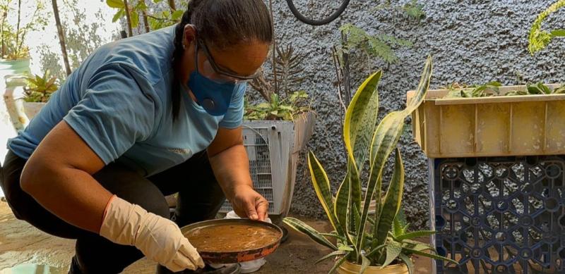 Período chuvoso aumenta risco de criadouros do Aedes e reforça cuidados dentro de casa