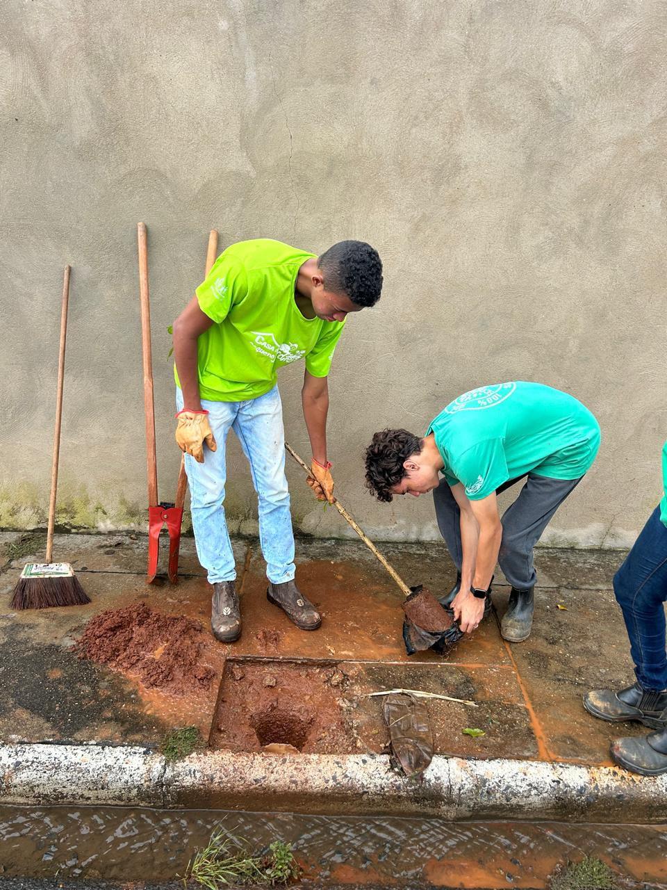 Primavera marca intensificação do plantio de árvores nas calçadas de Araxá