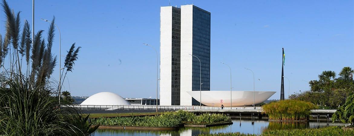 Domingos Sávio e Carlos Viana lideram votação para o Senado em Araxá
