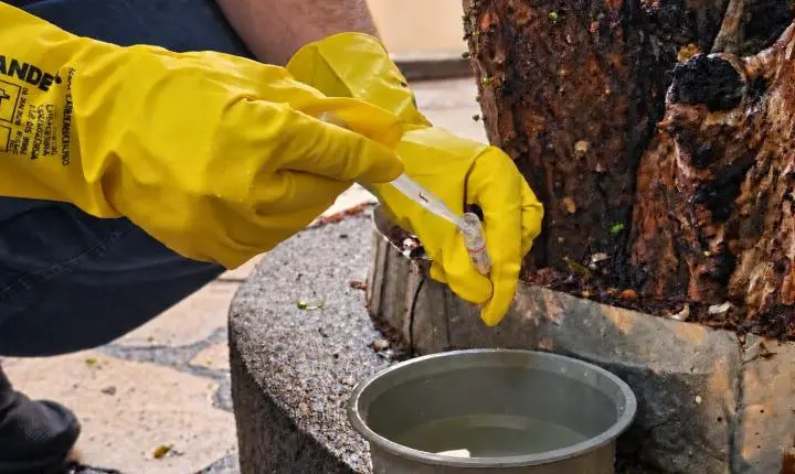 Novo LIRAa aponta média infestação do Aedes Aegypti em Araxá 