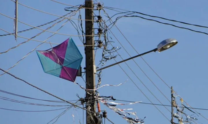 Pipas deixam mais de 313 mil clientes sem energia em Minas Gerais no 1º semestre de 2026