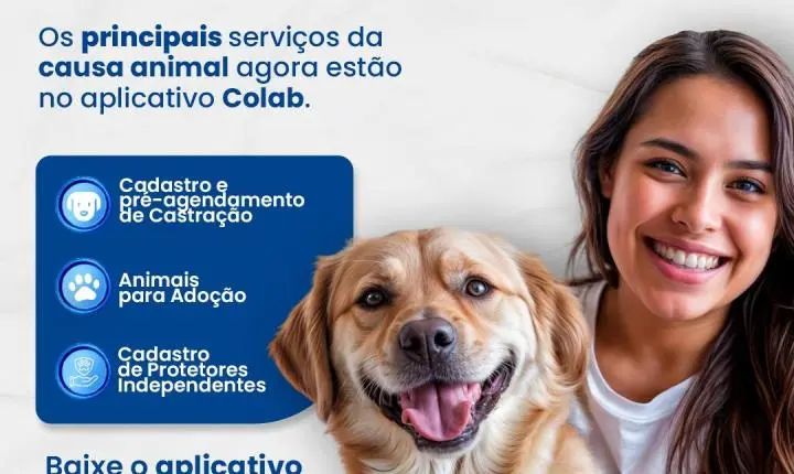 Prefeitura lança Colab Pet e amplia acesso aos serviços da causa animal pelo aplicativo Colab