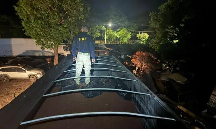PRF apreende mais de 1 tonelada de  maconha na BR-262