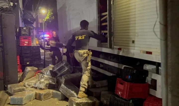 PRF e Polícia Militar Rodoviária apreendem mais de 3 toneladas de maconha após ação integrada na BR-262