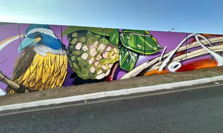 Projeto Memomural transforma viaduto em novo espaço de arte e memória em Araxá